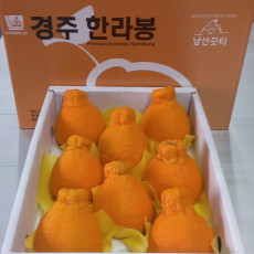 [남산끗티] 경주한라봉 선물용 3kg(7~9과)
