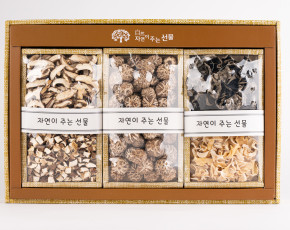 [광명협동조합] 건버섯 5종 선물세트
